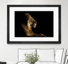 Royal Meeting in the Night by Hemb 1X on GIANT ART - black animals