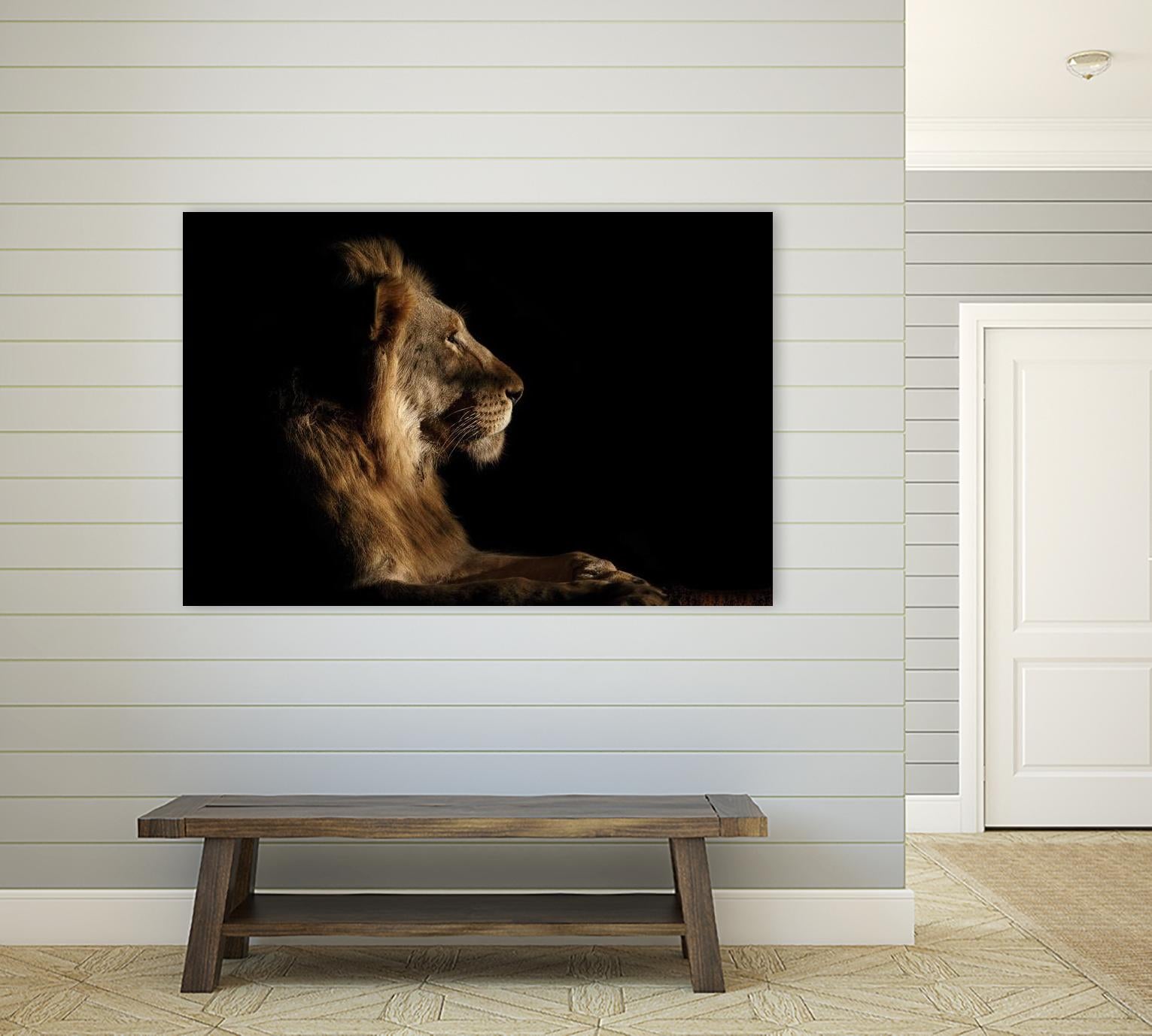 Royal Meeting in the Night by Hemb 1X on GIANT ART - black animals