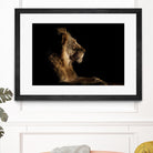 Royal Meeting in the Night by Hemb 1X on GIANT ART - black animals