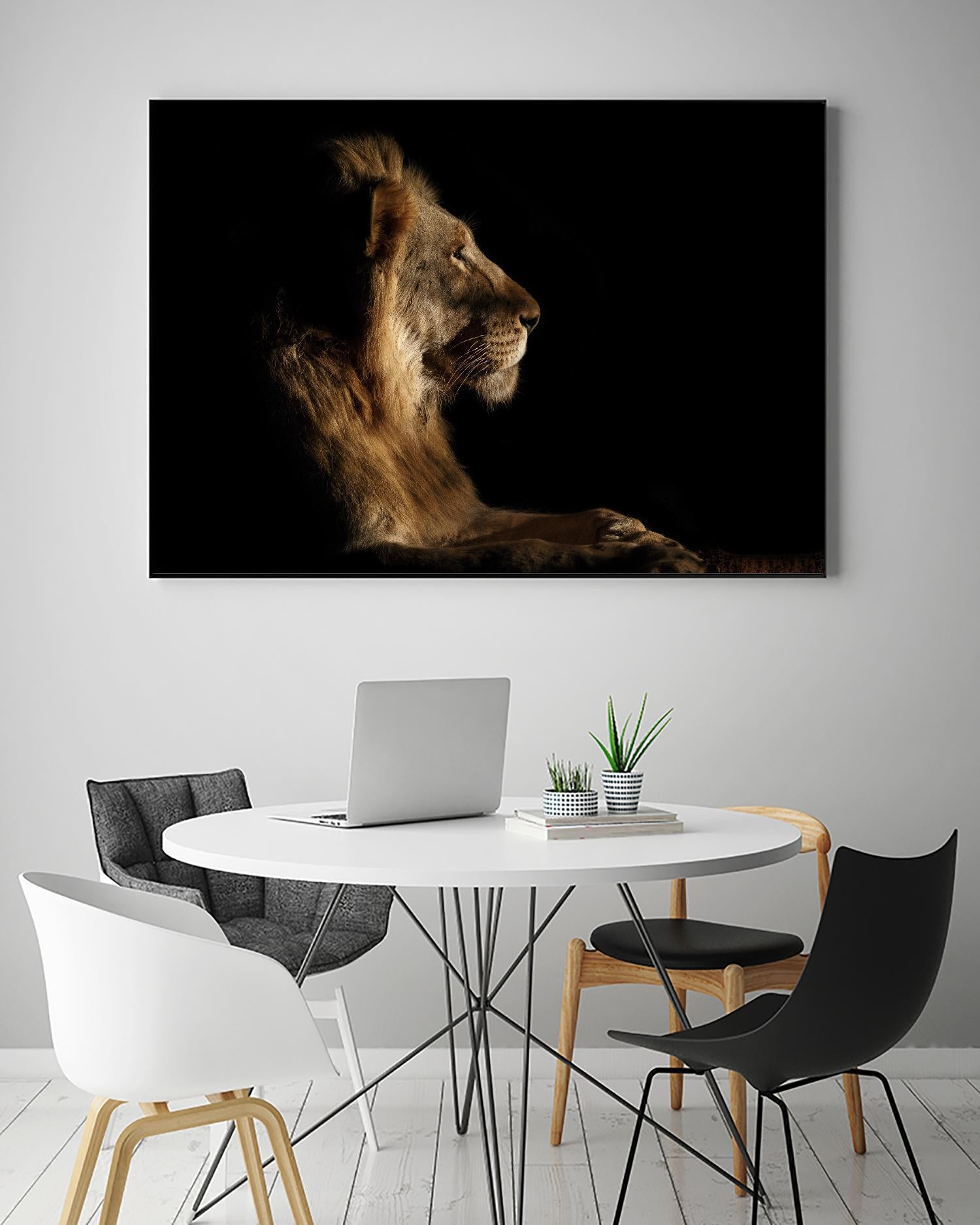 Royal Meeting in the Night by Hemb 1X on GIANT ART - black animals