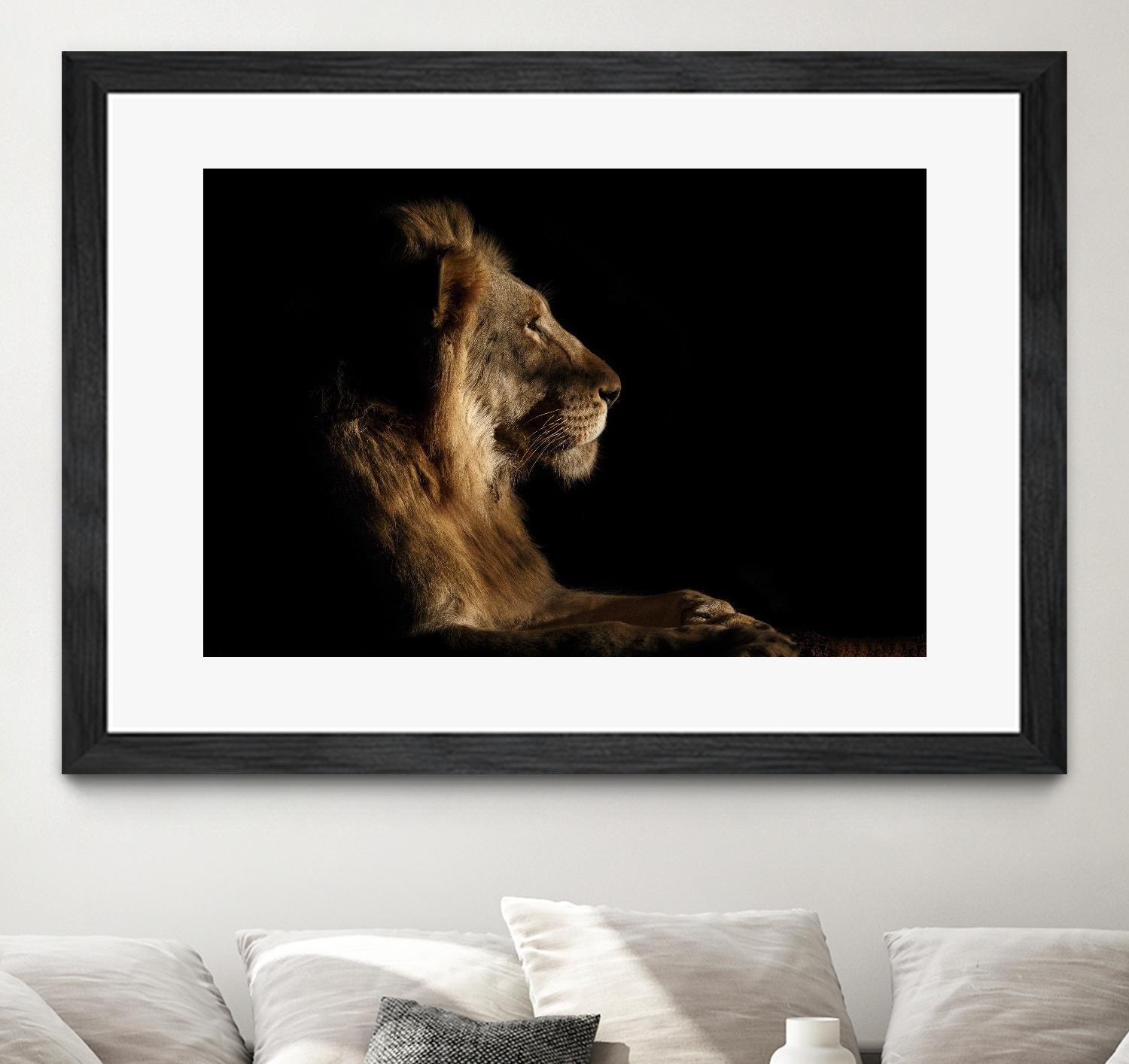 Royal Meeting in the Night by Hemb 1X on GIANT ART - black animals