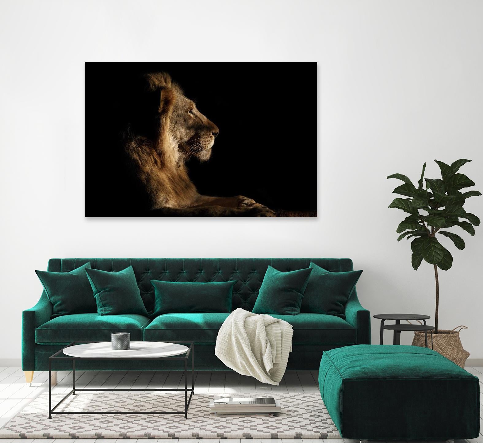 Royal Meeting in the Night by Hemb 1X on GIANT ART - black animals