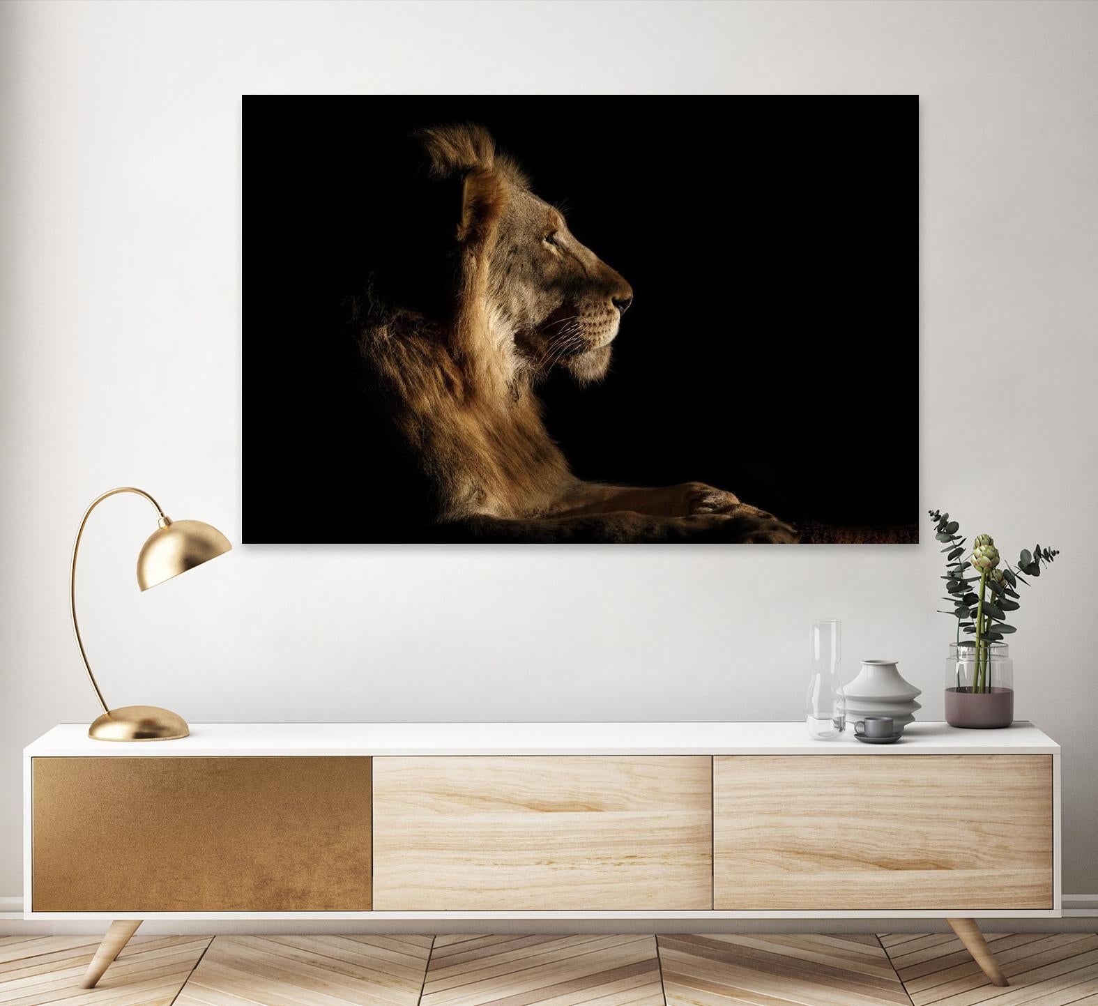 Royal Meeting in the Night by Hemb 1X on GIANT ART - black animals