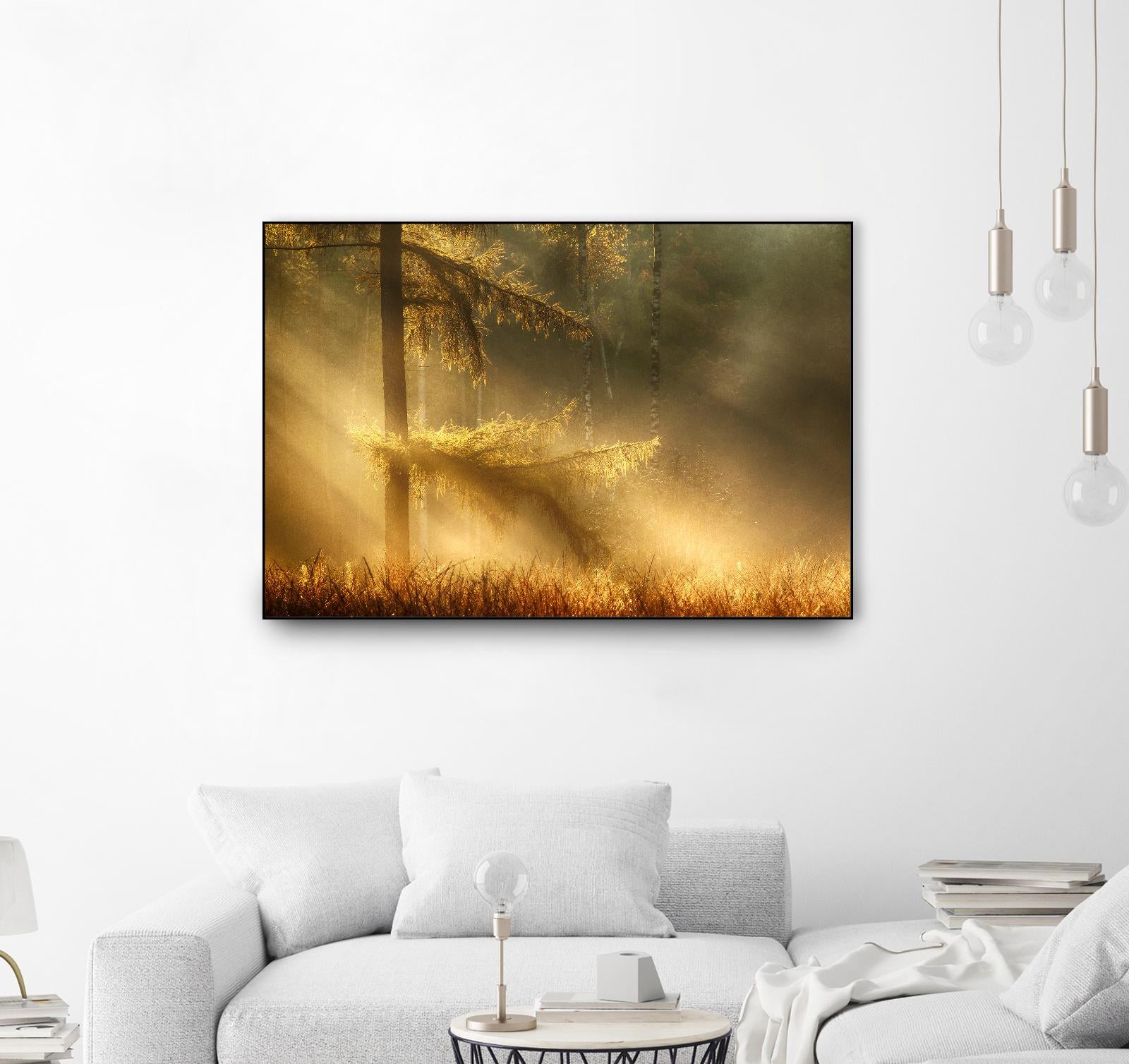 Autumn Light by Mies 1X on GIANT ART - orange trees