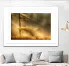 Autumn Light by Mies 1X on GIANT ART - orange trees