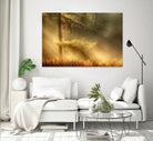 Autumn Light by Mies 1X on GIANT ART - orange trees
