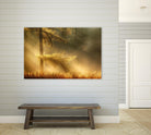 Autumn Light by Mies 1X on GIANT ART - orange trees