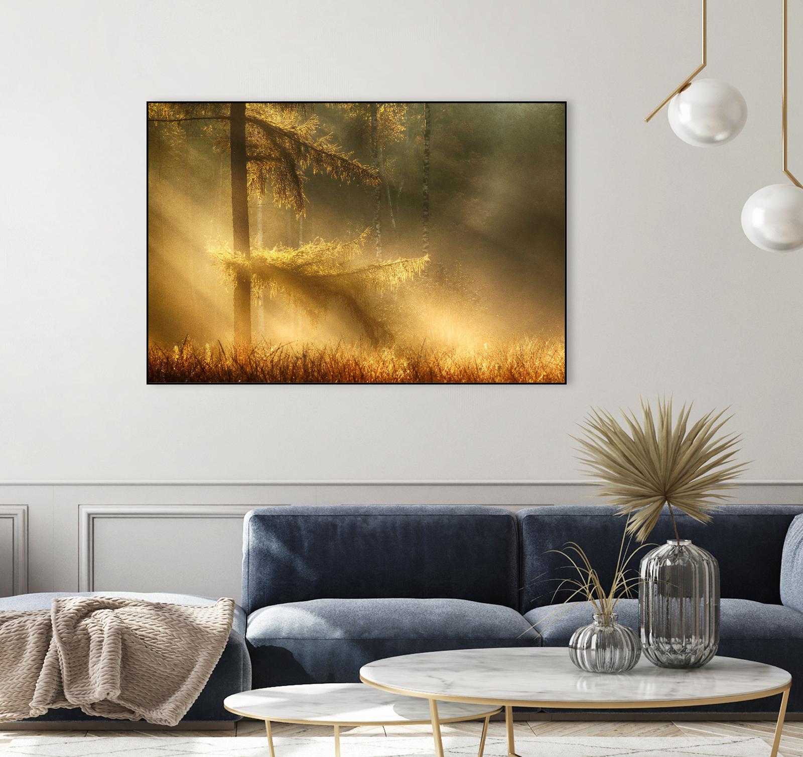 Autumn Light by Mies 1X on GIANT ART - orange trees