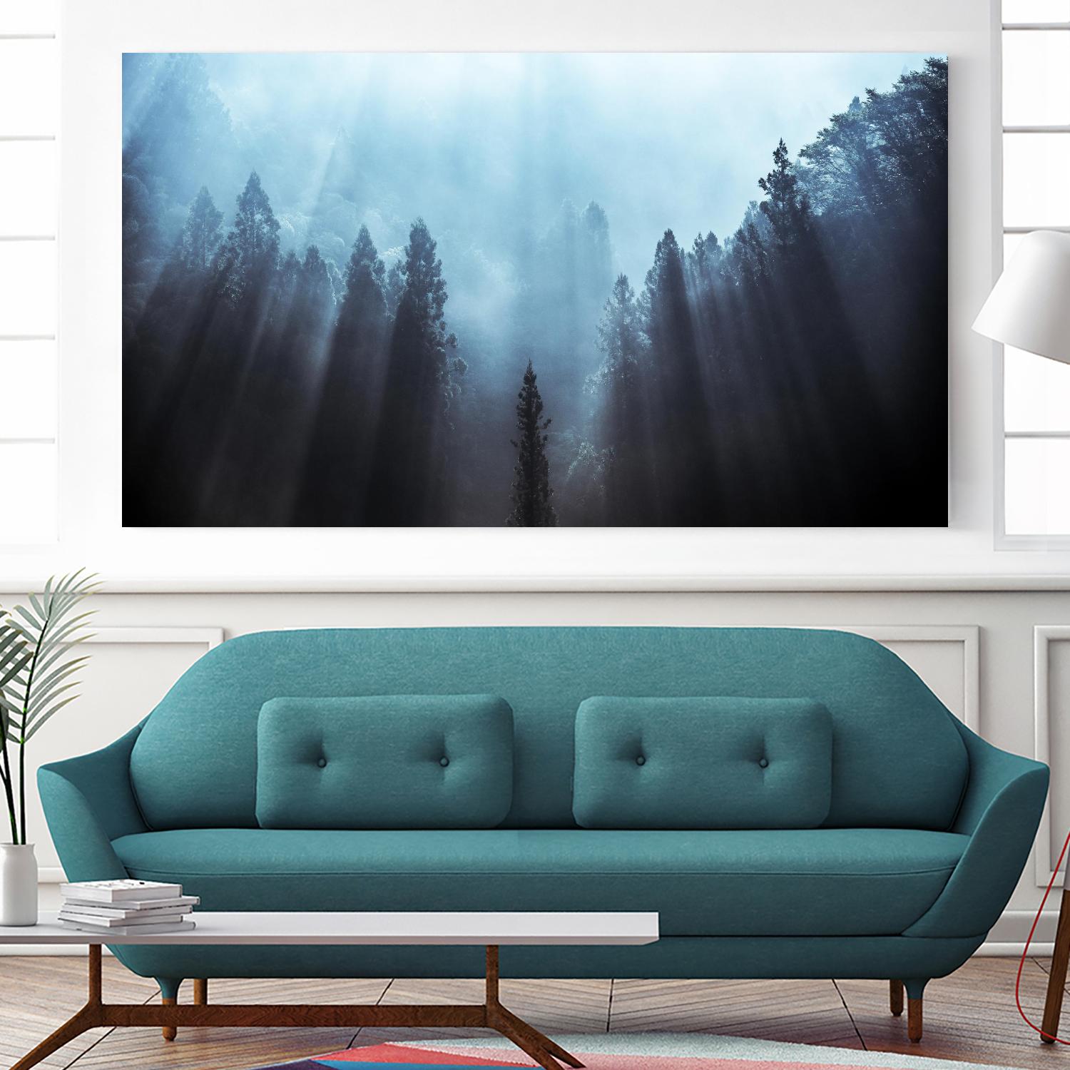 Fuji - Light to be Believed Likely by 1X on GIANT ART - grey landscape