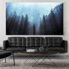 Fuji - Light to be Believed Likely by 1X on GIANT ART - grey landscape