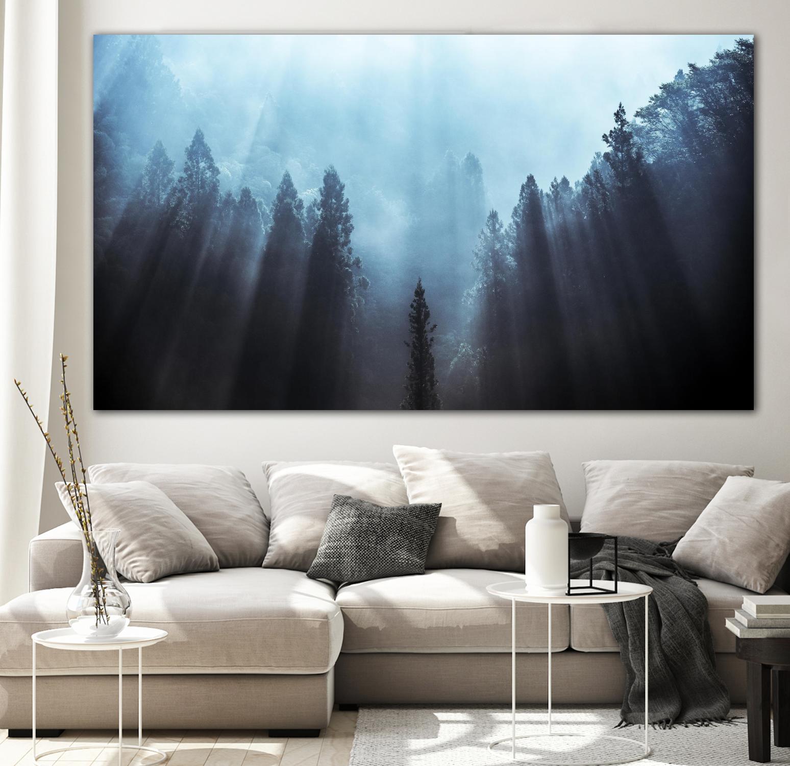 Fuji - Light to be Believed Likely by 1X on GIANT ART - grey landscape