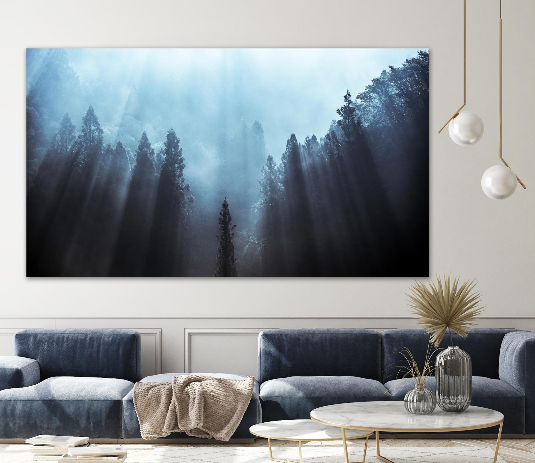 Fuji - Light to be Believed Likely by 1X on GIANT ART - grey landscape