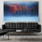 Li - Fall Impression III by 1X on GIANT ART - blue photo art