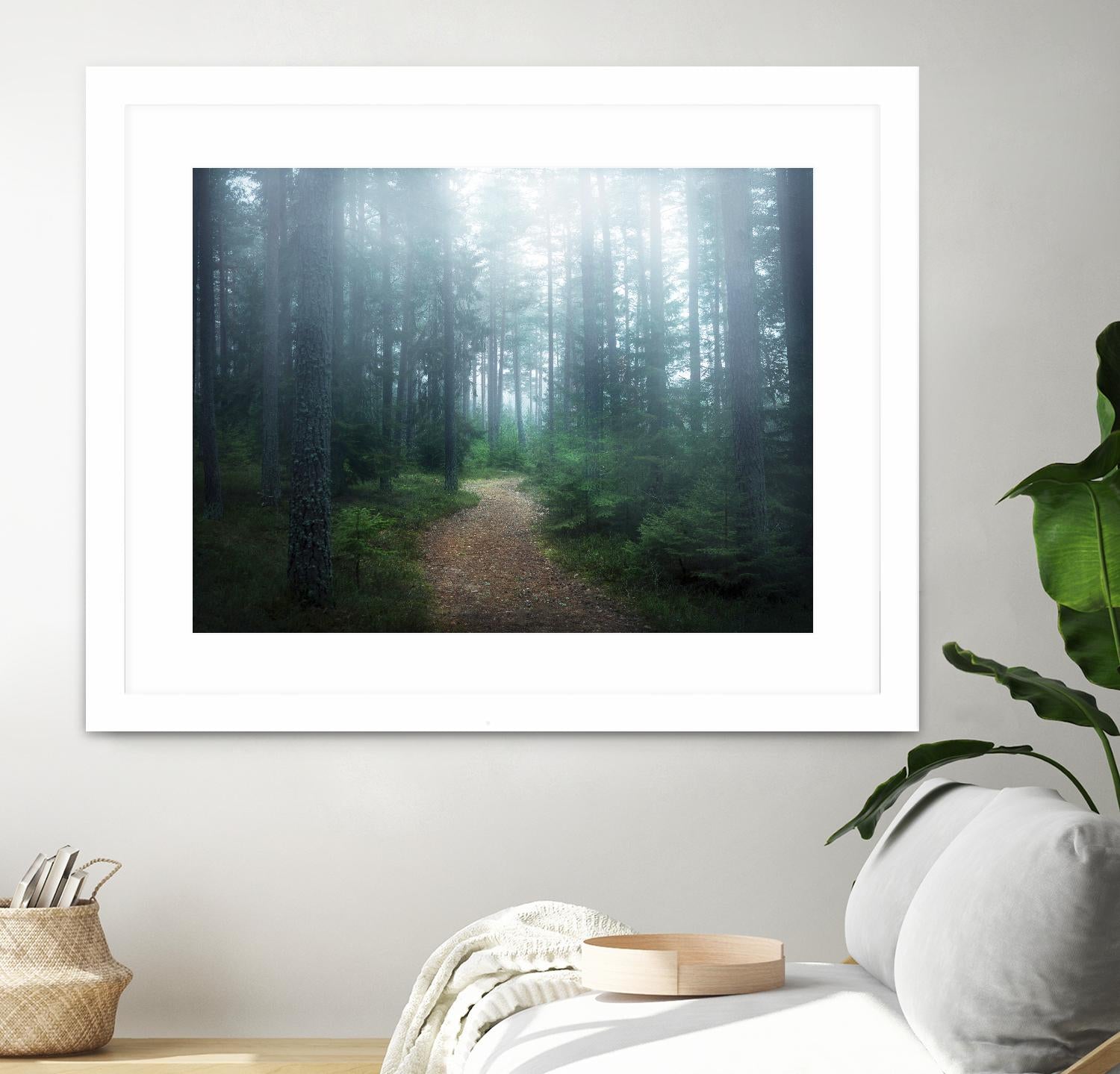 Lindsten - The forest of secrets by 1X on GIANT ART - brown photo art