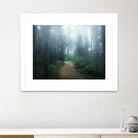 Lindsten - The forest of secrets by 1X on GIANT ART - brown photo art