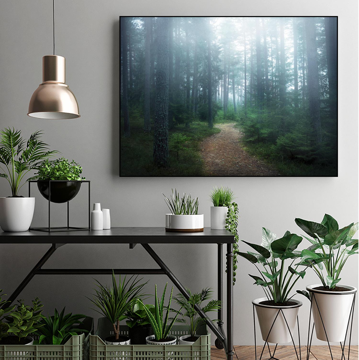 Lindsten - The forest of secrets by 1X on GIANT ART - brown photo art