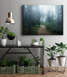 Lindsten - The forest of secrets by 1X on GIANT ART - brown photo art