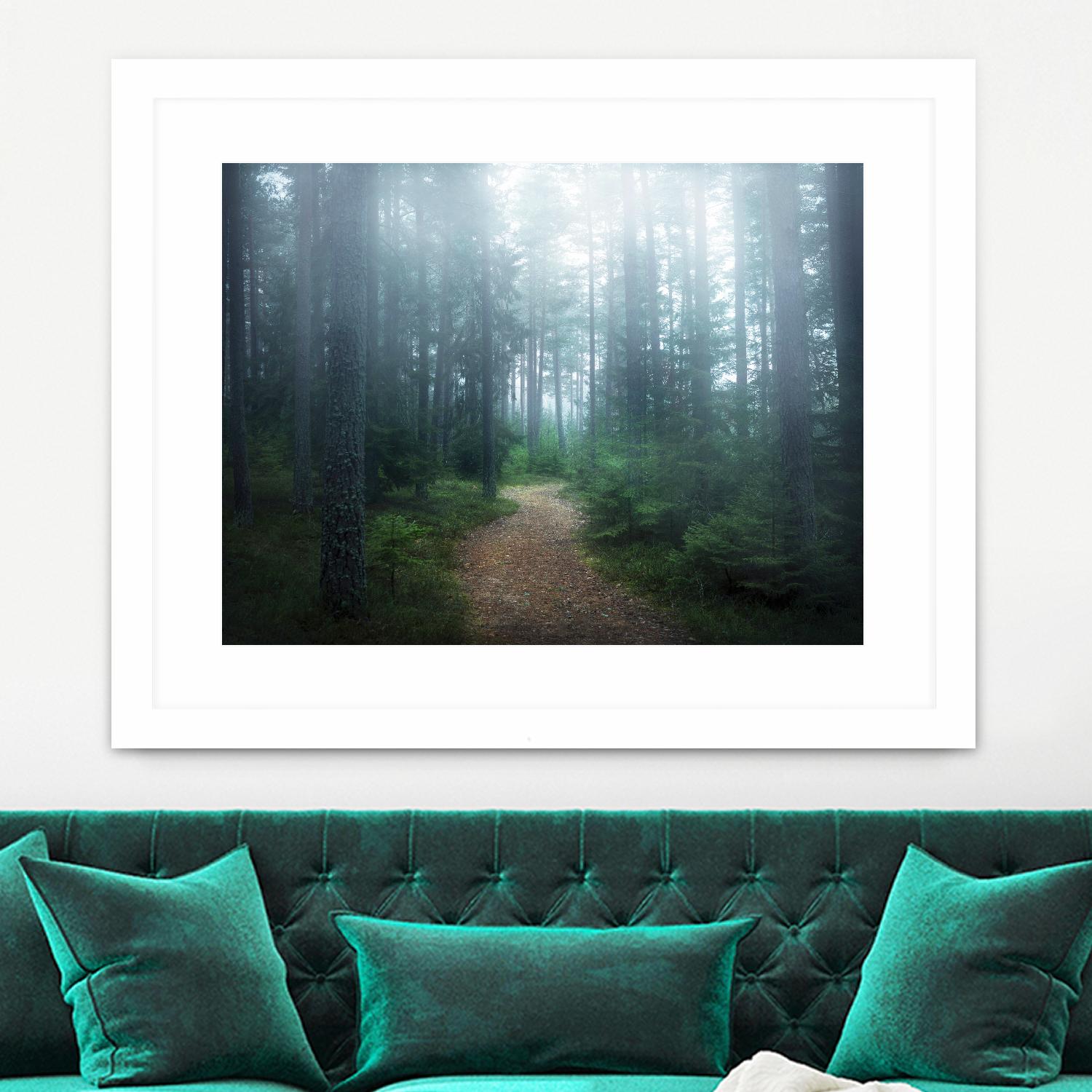 Lindsten - The forest of secrets by 1X on GIANT ART - brown photo art