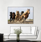 Wong - Lucky Six by 1X on GIANT ART - blue photo art