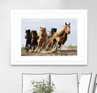 Wong - Lucky Six by 1X on GIANT ART - blue photo art