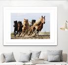 Wong - Lucky Six by 1X on GIANT ART - blue photo art