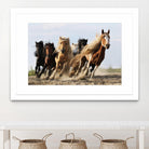 Wong - Lucky Six by 1X on GIANT ART - blue photo art