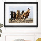 Wong - Lucky Six by 1X on GIANT ART - blue photo art