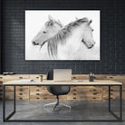 Stas - Horses by 1X on GIANT ART - white photo art