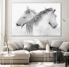 Stas - Horses by 1X on GIANT ART - white photo art