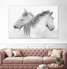 Stas - Horses by 1X on GIANT ART - white photo art