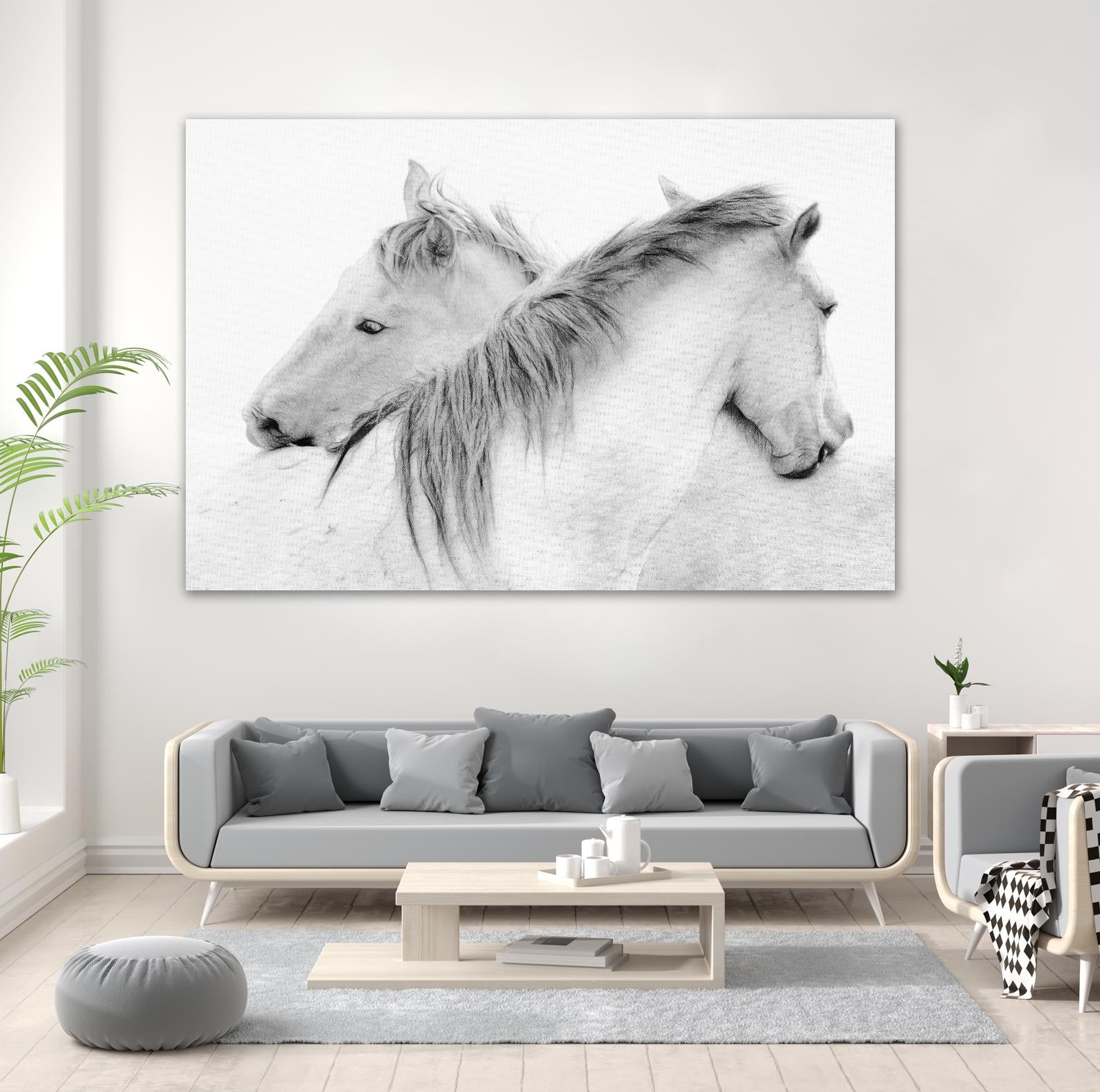 Stas - Horses by 1X on GIANT ART - white photo art