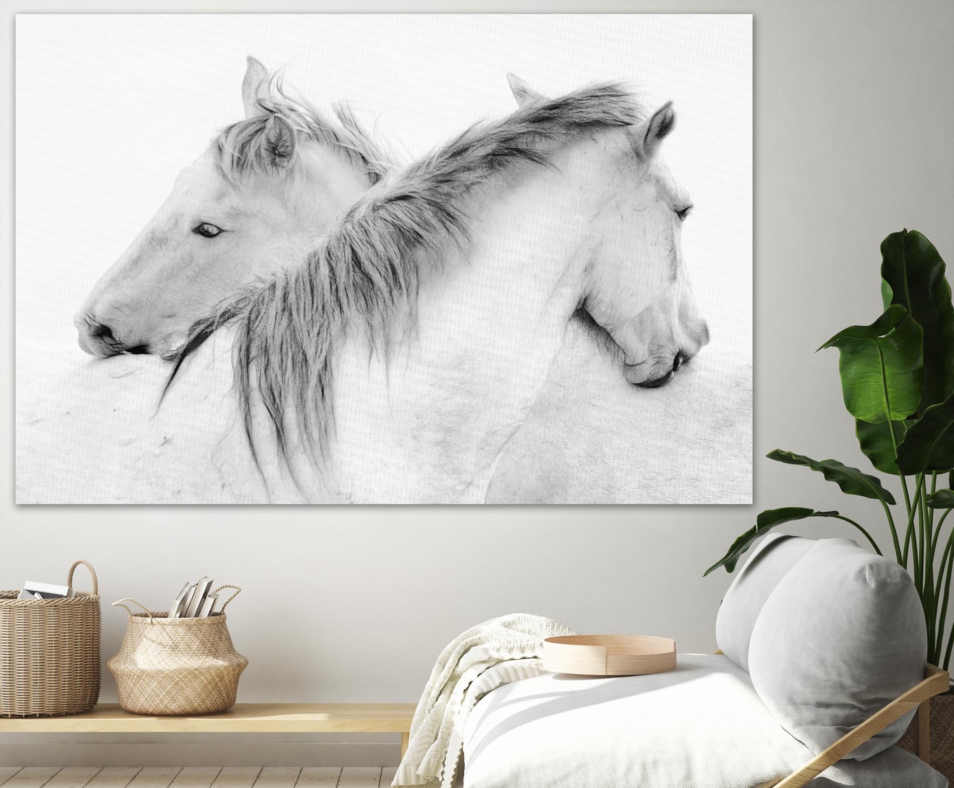 Stas - Horses by 1X on GIANT ART - white photo art