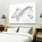 Stas - Horses by 1X on GIANT ART - white photo art