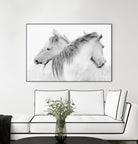 Stas - Horses by 1X on GIANT ART - white photo art