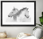 Stas - Horses by 1X on GIANT ART - white photo art