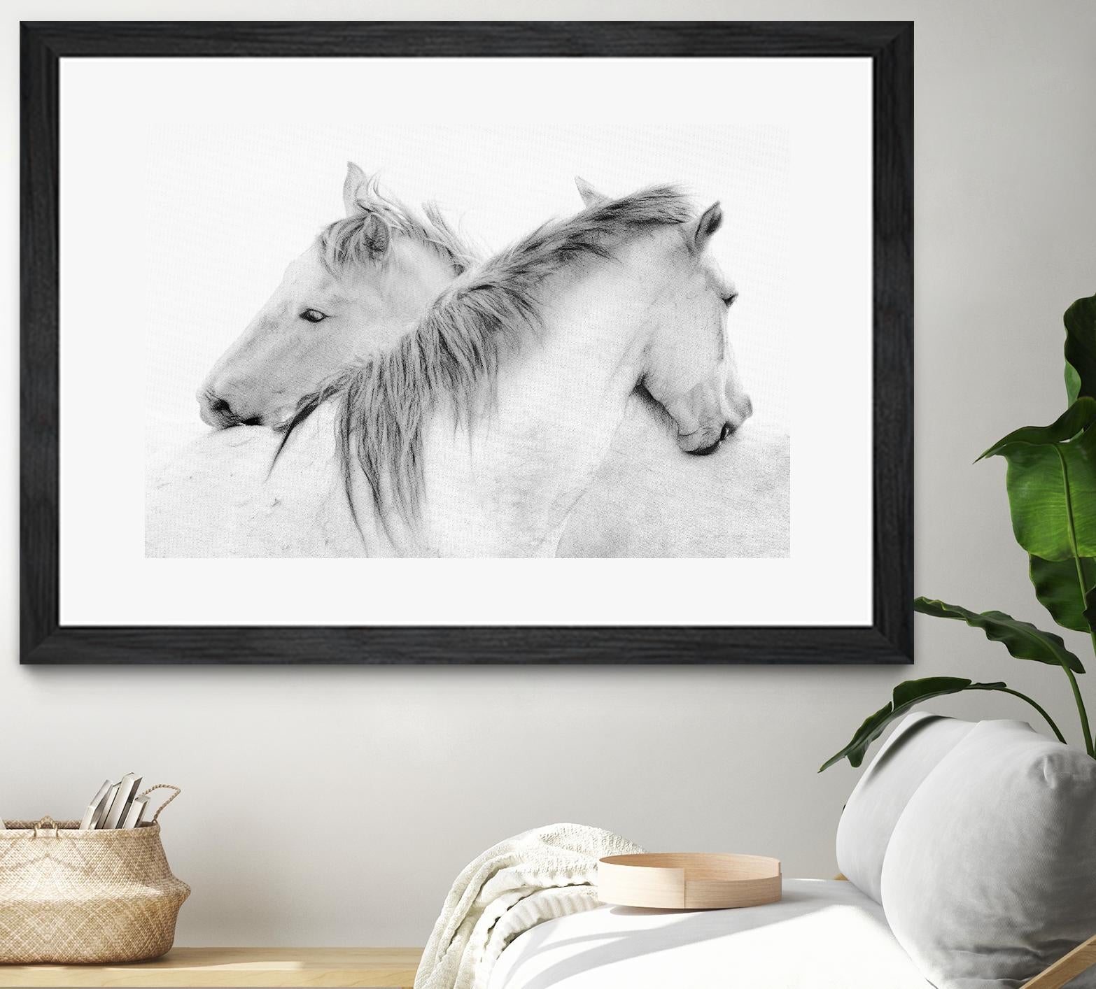 Stas - Horses by 1X on GIANT ART - white photo art