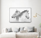 Stas - Horses by 1X on GIANT ART - white photo art