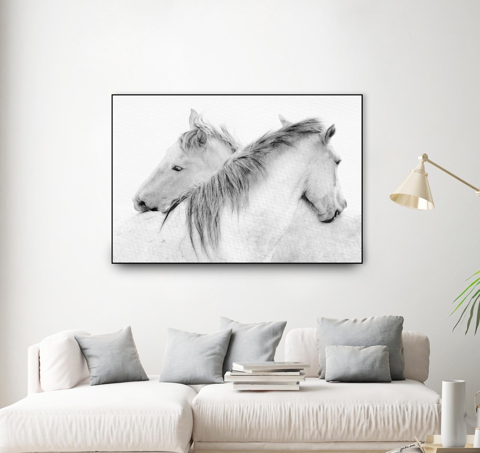 Stas - Horses by 1X on GIANT ART - white photo art