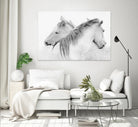 Stas - Horses by 1X on GIANT ART - white photo art