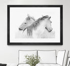 Stas - Horses by 1X on GIANT ART - white photo art