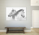 Stas - Horses by 1X on GIANT ART - white photo art