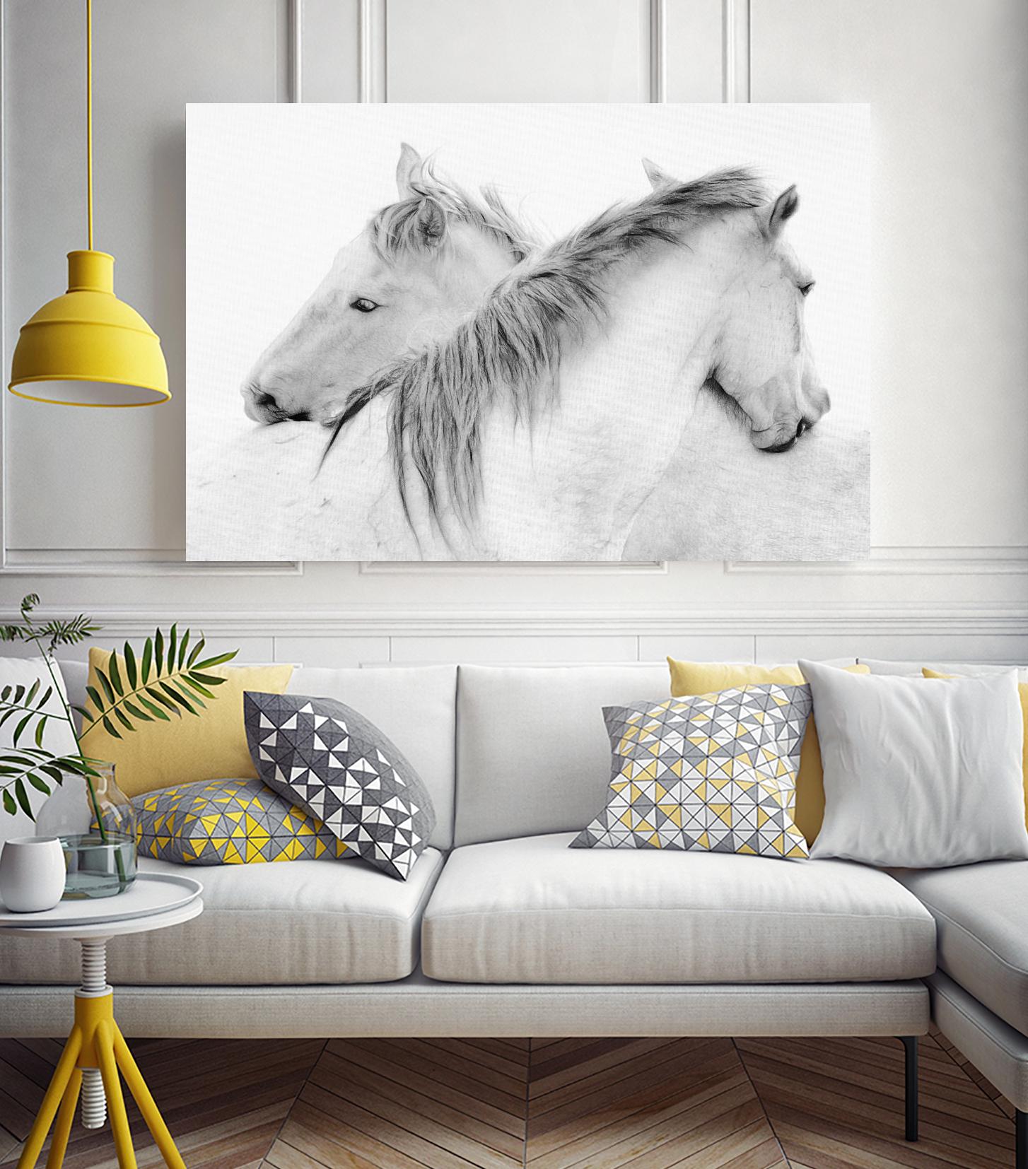 Stas - Horses by 1X on GIANT ART - white photo art