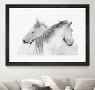 Stas - Horses by 1X on GIANT ART - white photo art