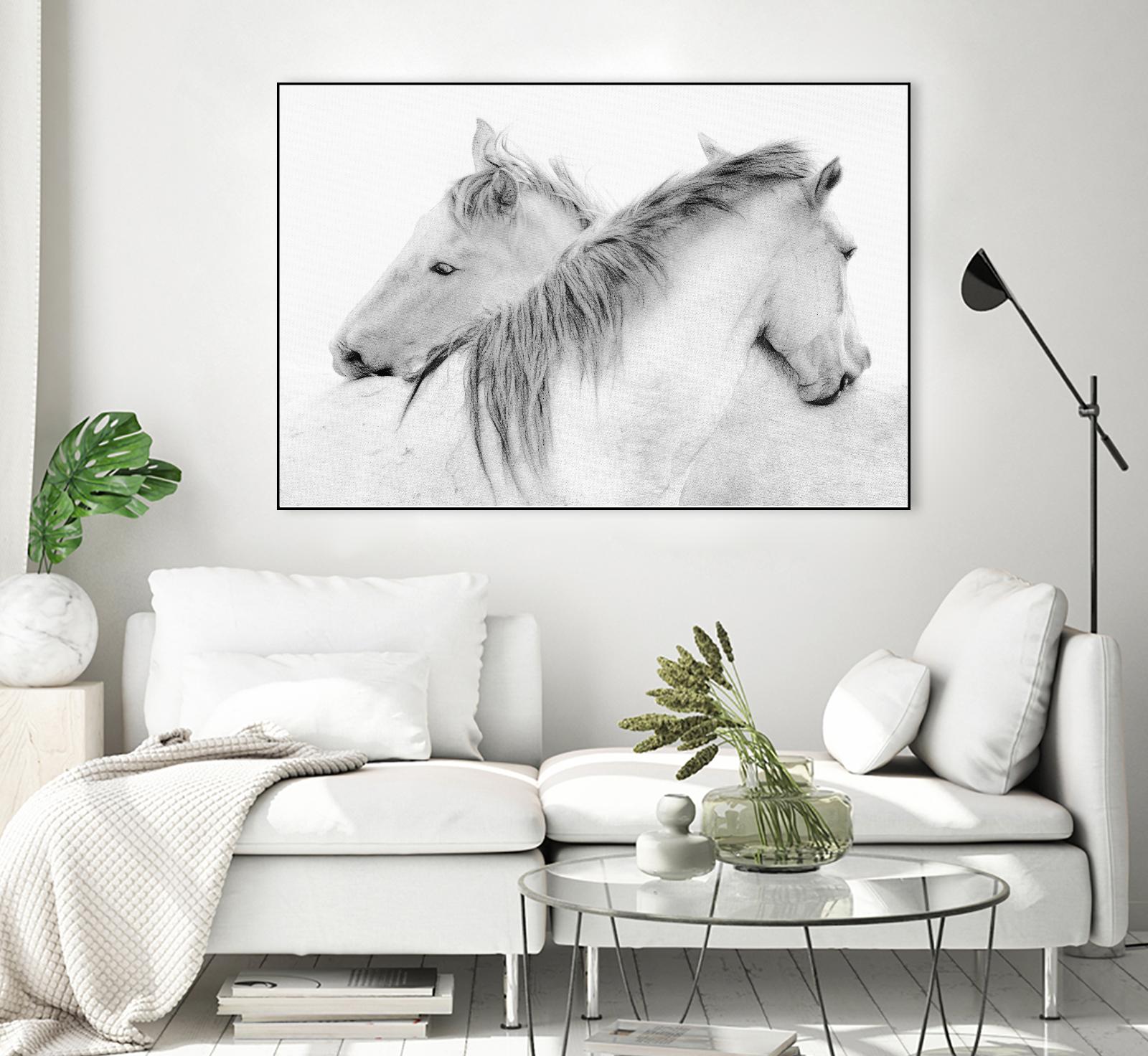 Stas - Horses by 1X on GIANT ART - white photo art