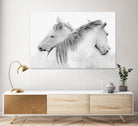 Stas - Horses by 1X on GIANT ART - white photo art