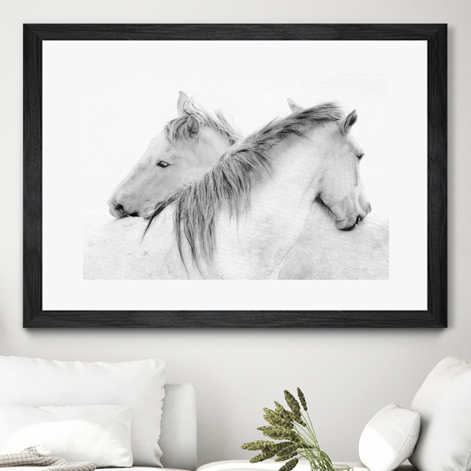 Stas - Horses by 1X on GIANT ART - white photo art