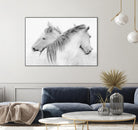 Stas - Horses by 1X on GIANT ART - white photo art