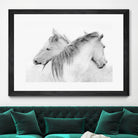 Stas - Horses by 1X on GIANT ART - white photo art