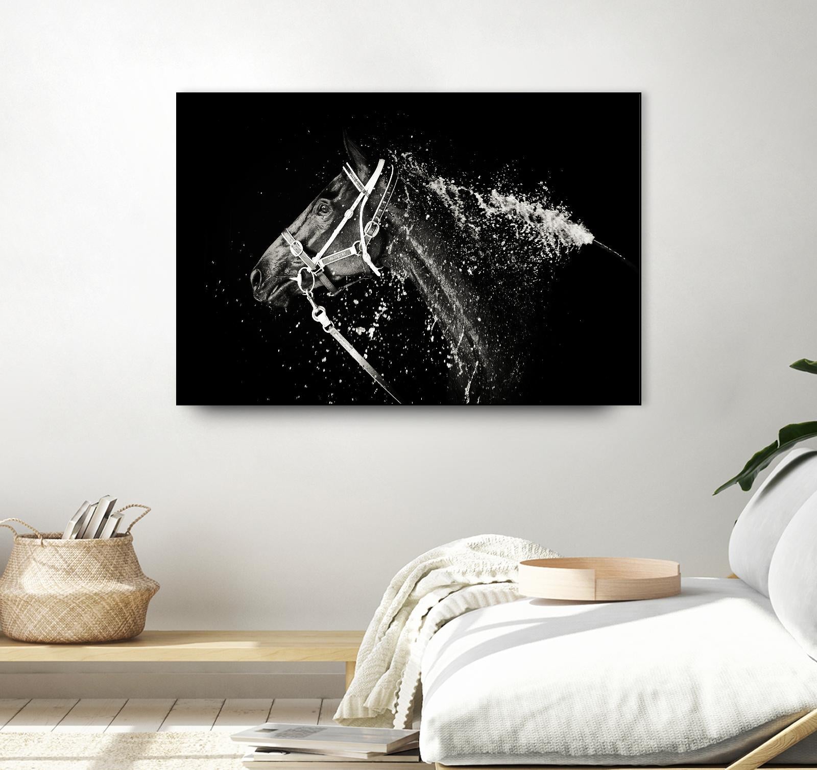 Lee Chapman - The Hose Down by 1X on GIANT ART - grey photo art