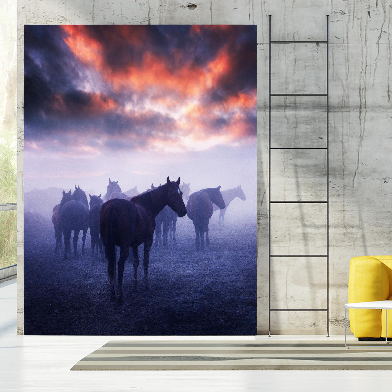 Cevik - Wild Horses by 1X on GIANT ART - pink animals